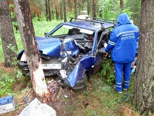 В Ярославле водитель легковушки взял на таран дерево