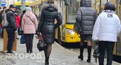 В Ярославле за грязные желтые автобусы придется заплатить штрафами