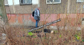 "Лежал лицом вниз": В Ярославле нашли труп мужчины на проспекте Дзержинского 