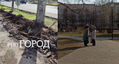 "При ветре упадут": в парке Мира при ремонте повредили корни деревьев