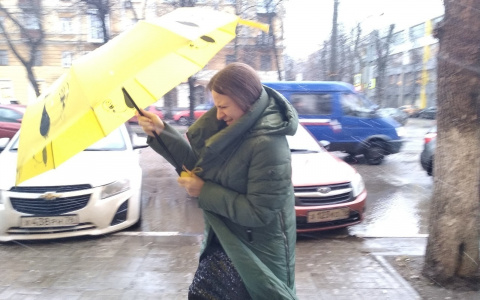 Надвигается опасная погода: экстренное предупреждение для ярославцев выпустило МЧС