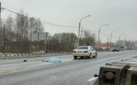 В Ярославле пешеход бросился под колеса авто и погиб