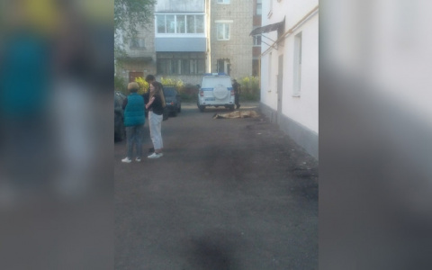 Труп мужчины в центре Ярославля: что случилось
