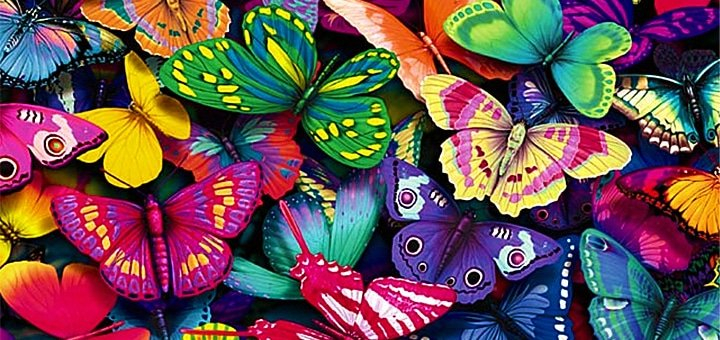 Студия живых тропических бабочек