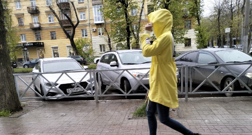 МЧС предупреждает ярославцев о резких заморозках