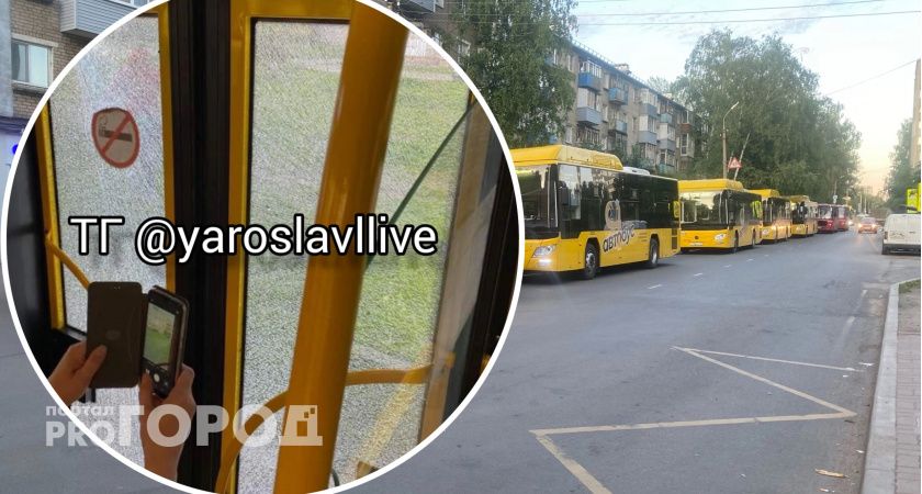 Полиция задержала расстрелявшего автобусы с пассажирами 15-летнего ярославца