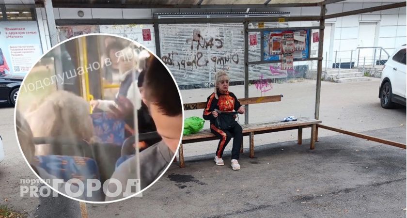 В ярославском автобусе женщина наорала матом на ребенка