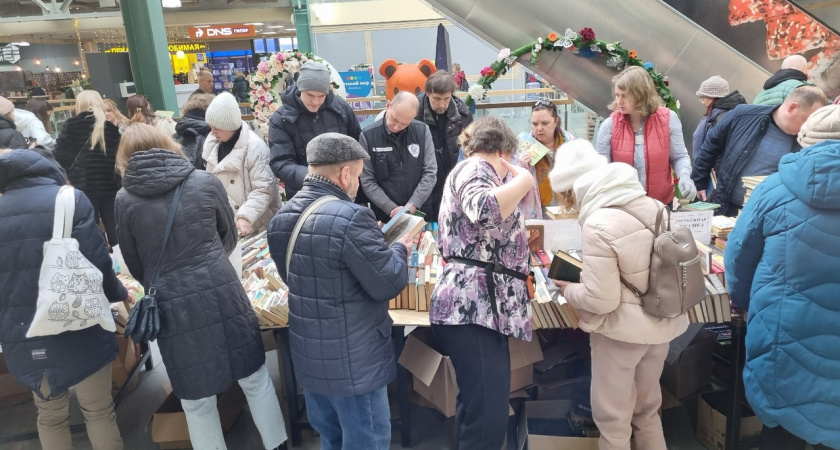 В Ярославле жители продают книги для спасения кошек