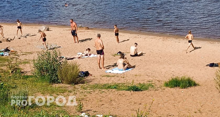 Синоптики пообещали летом-2024 в России жару тысячелетия до +50 градусов