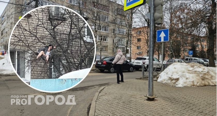 В Ярославской области девушка выпрыгнула из окна и упала на дерево