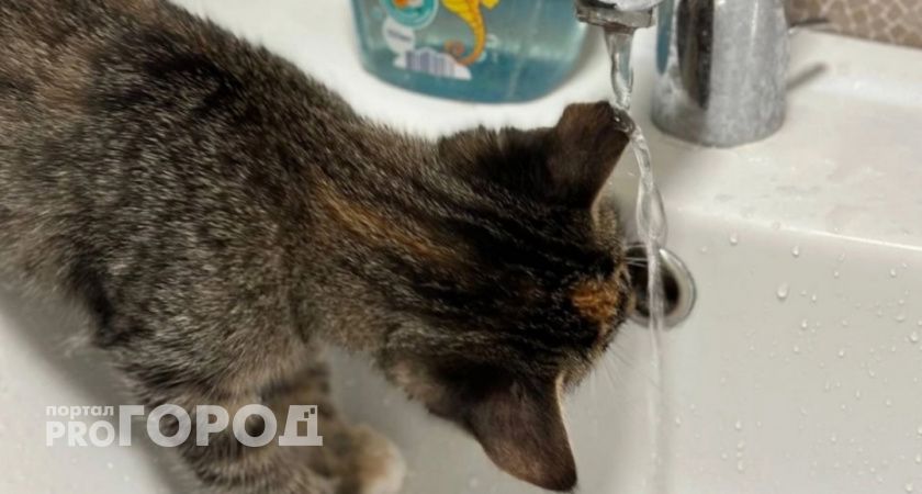 Среди ярославцев в соцсетях стала распространяться информация о загрязнении воды инфекциями