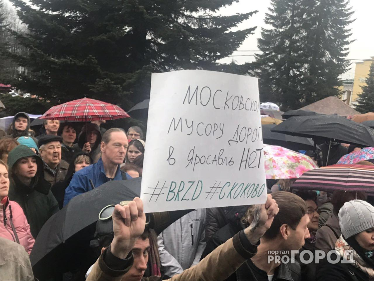 В Ярославле прошел митинг против московского мусора: фото и видео