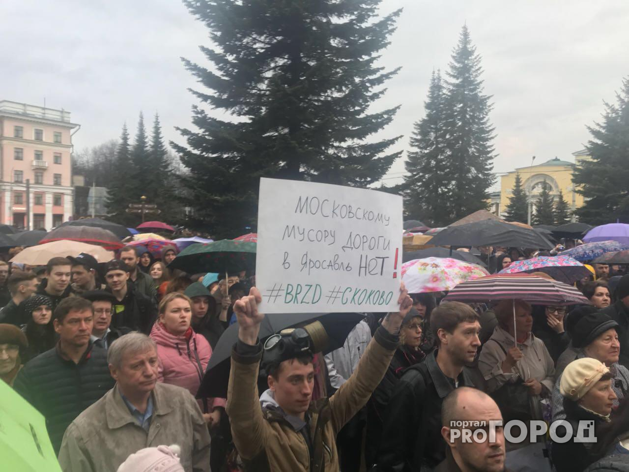 В отношении организатора антимусорного митинга в Ярославле возбудили два дела