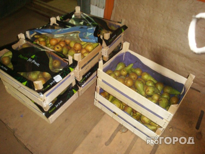 Изъять и уничтожить: в Ярославле раздавили сто килограммов груш из Польши