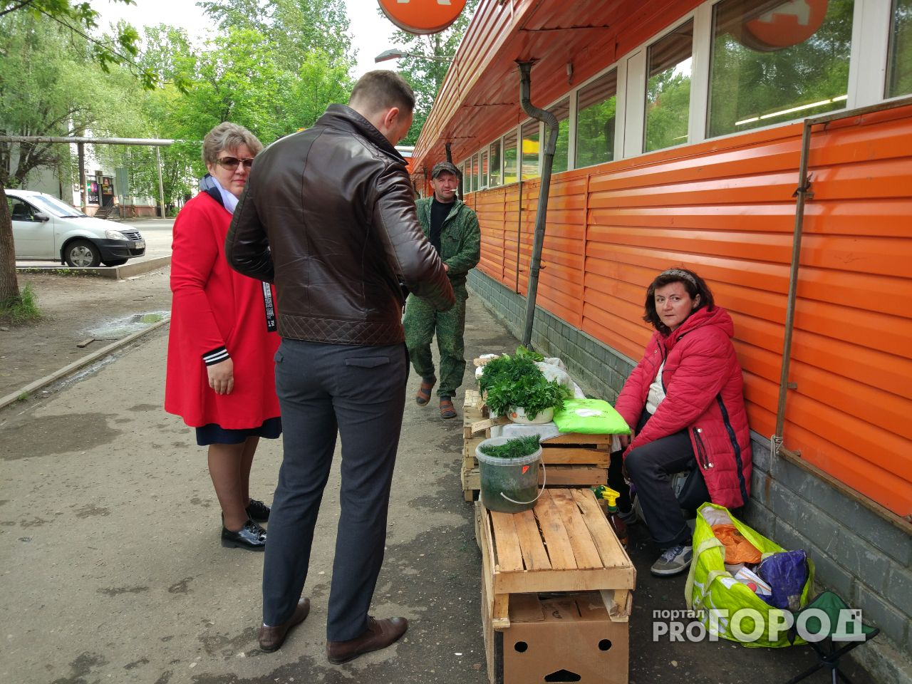 Мэр Ярославля поможет бабушкам-садоводам: что придумал Слепцов