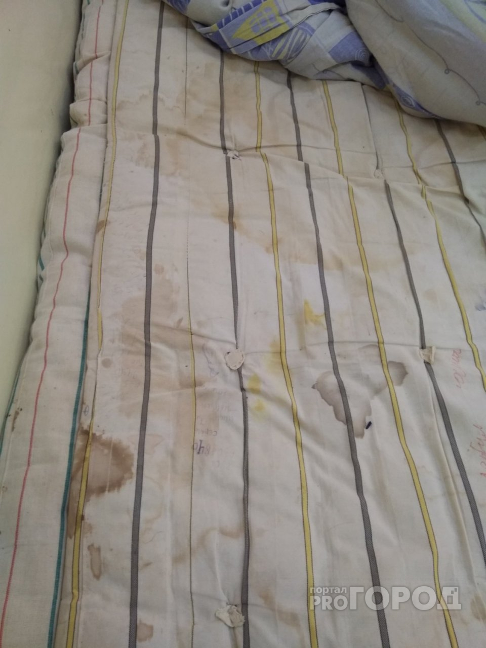 Грязь под кроватями и вековые матрацы: ярославцев ужаснули фото из детской больницы
