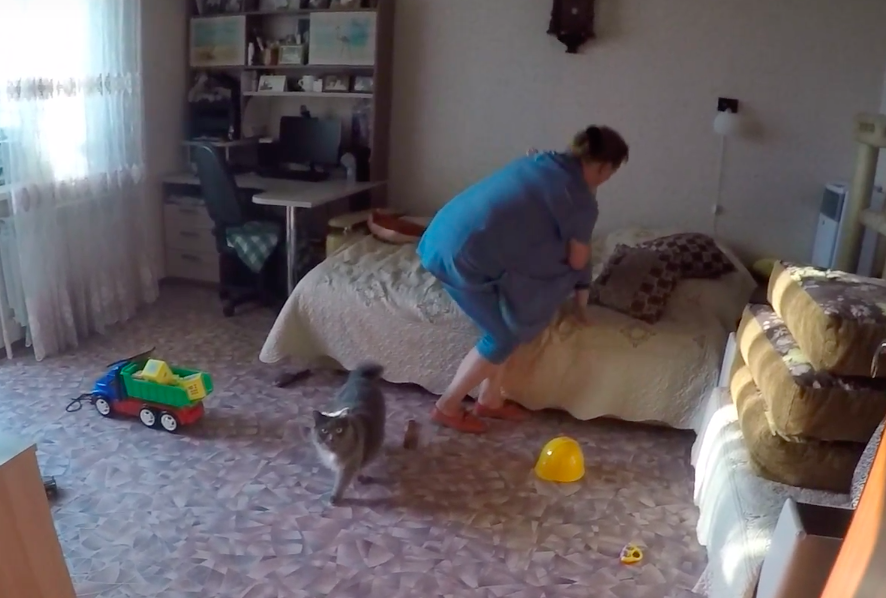 В Ярославле кот запер малыша в квартире: видео спасения