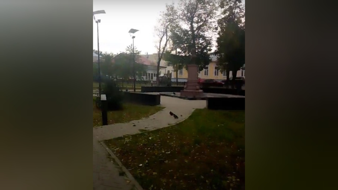Новый скандал в Ярославле: сквер отремонтировали пластиковыми ведерками. Видео