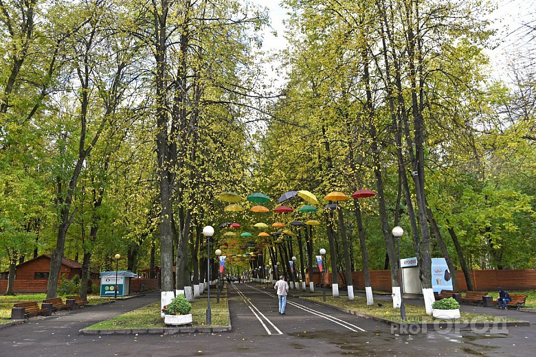 Из парка в центре Ярославля исчезли динозавры: где они теперь