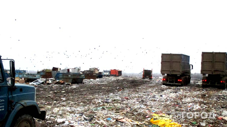 Росприроднадзор одобрил проект рекультивации мусорного полигона в Ярославской области