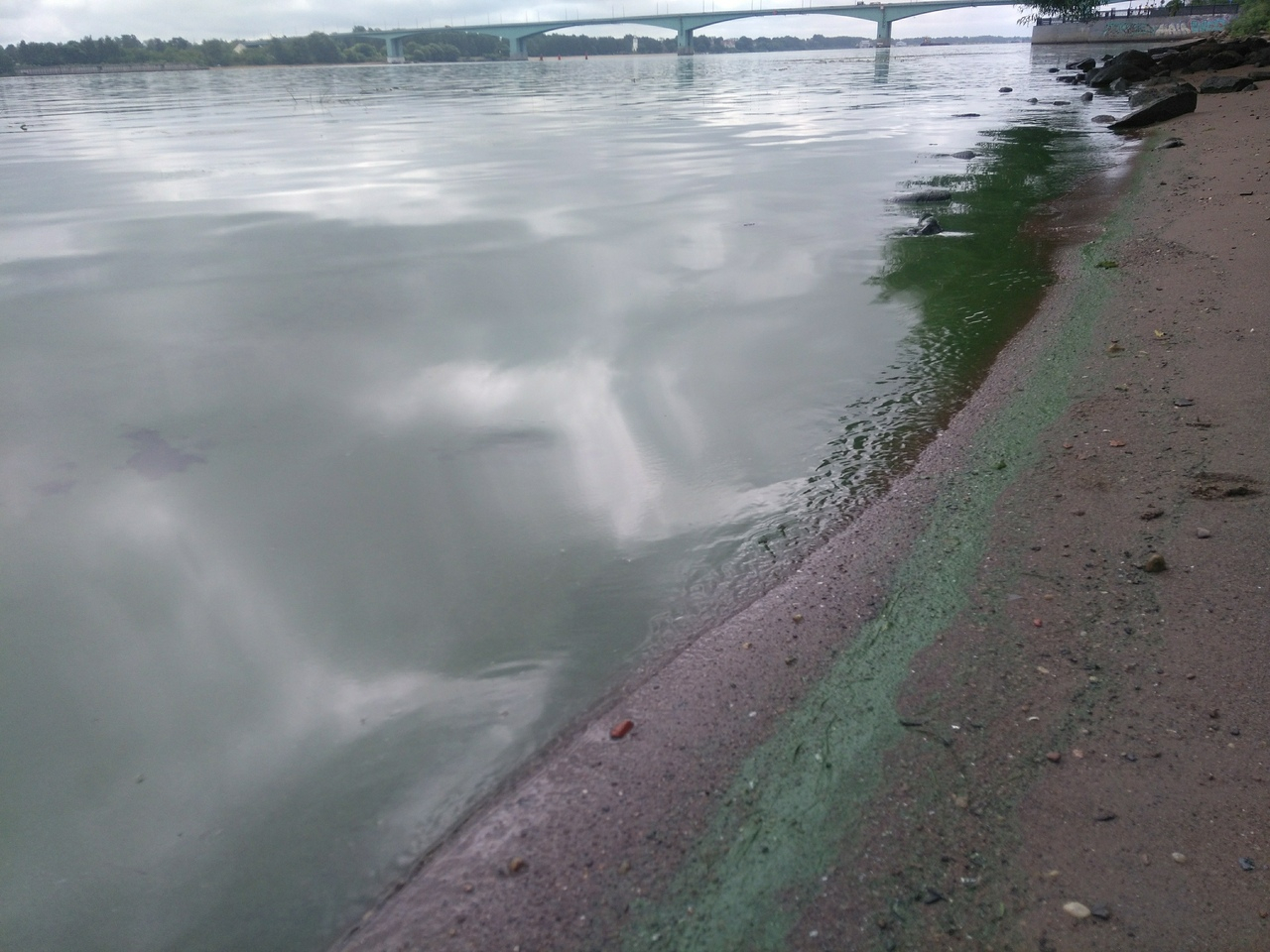 Природный феномен: реки в Ярославской области изменили цвет