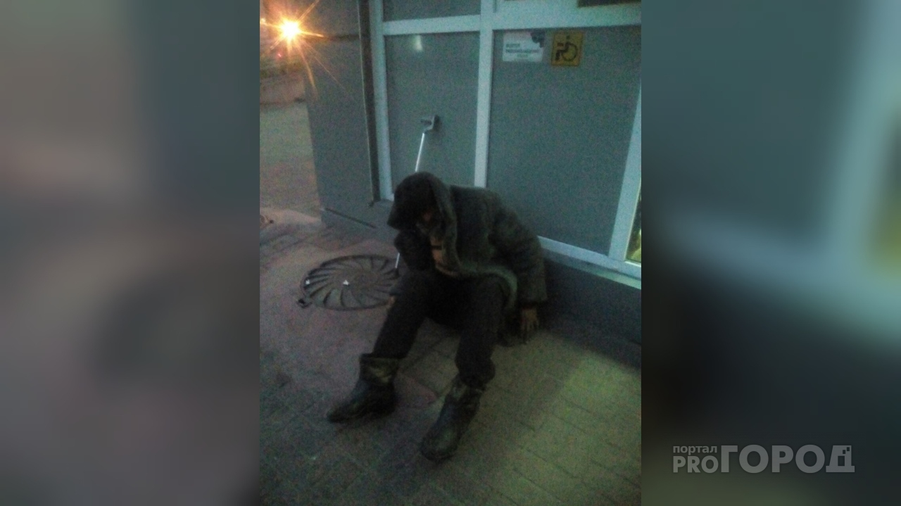 Бежал от цыган и попал под колеса: печальная судьба бездомного Гриши с остановки Ярославля