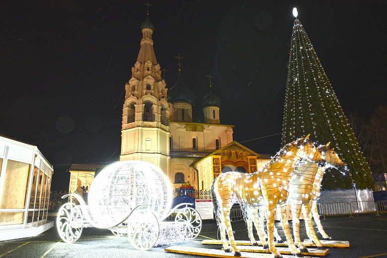 Двадцать новогодних елок появится в Ярославле: где именно