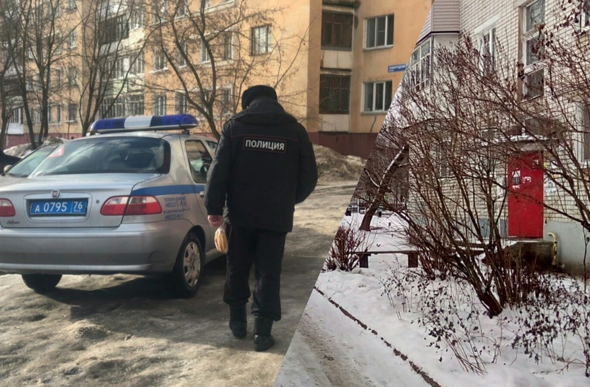 "Я выброшу детей с балкона": маму двойняшек задержали в Рыбинске