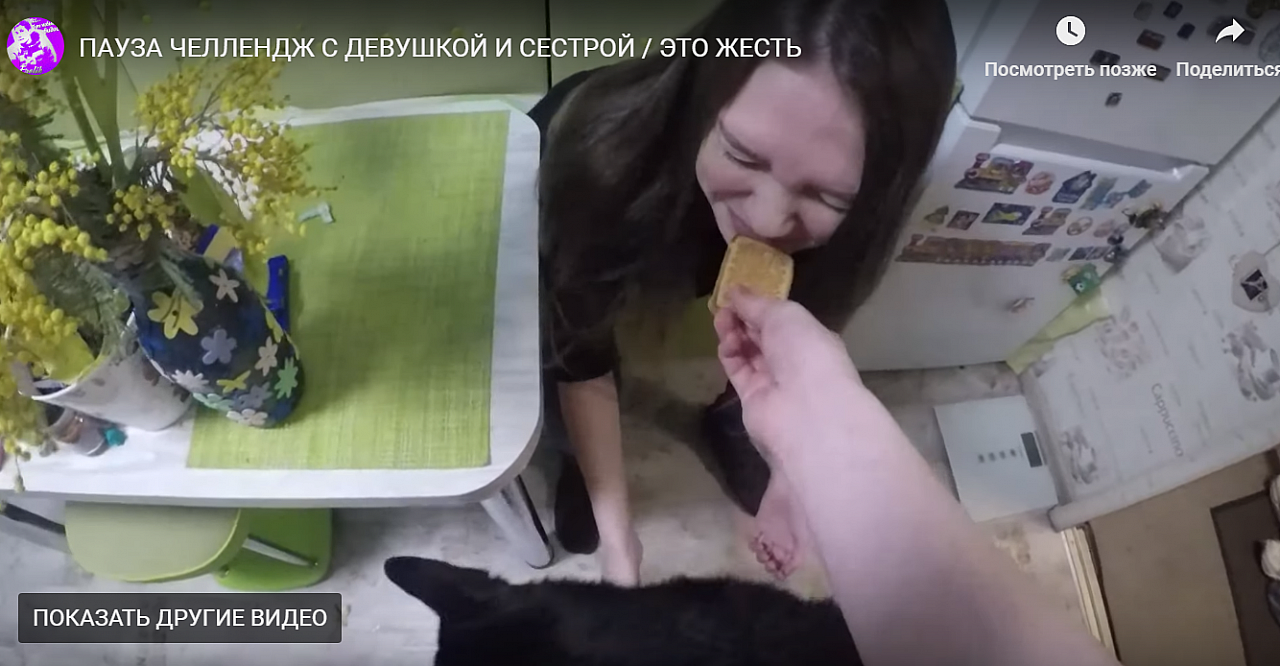 Натравил собаку на сестру: челлендж видео от блогера из Ярославля