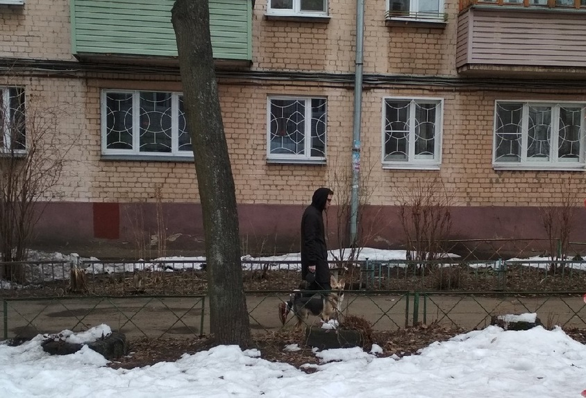 Сюрприз в почтовом ящике: в Ярославле воюют собачники и курильщики