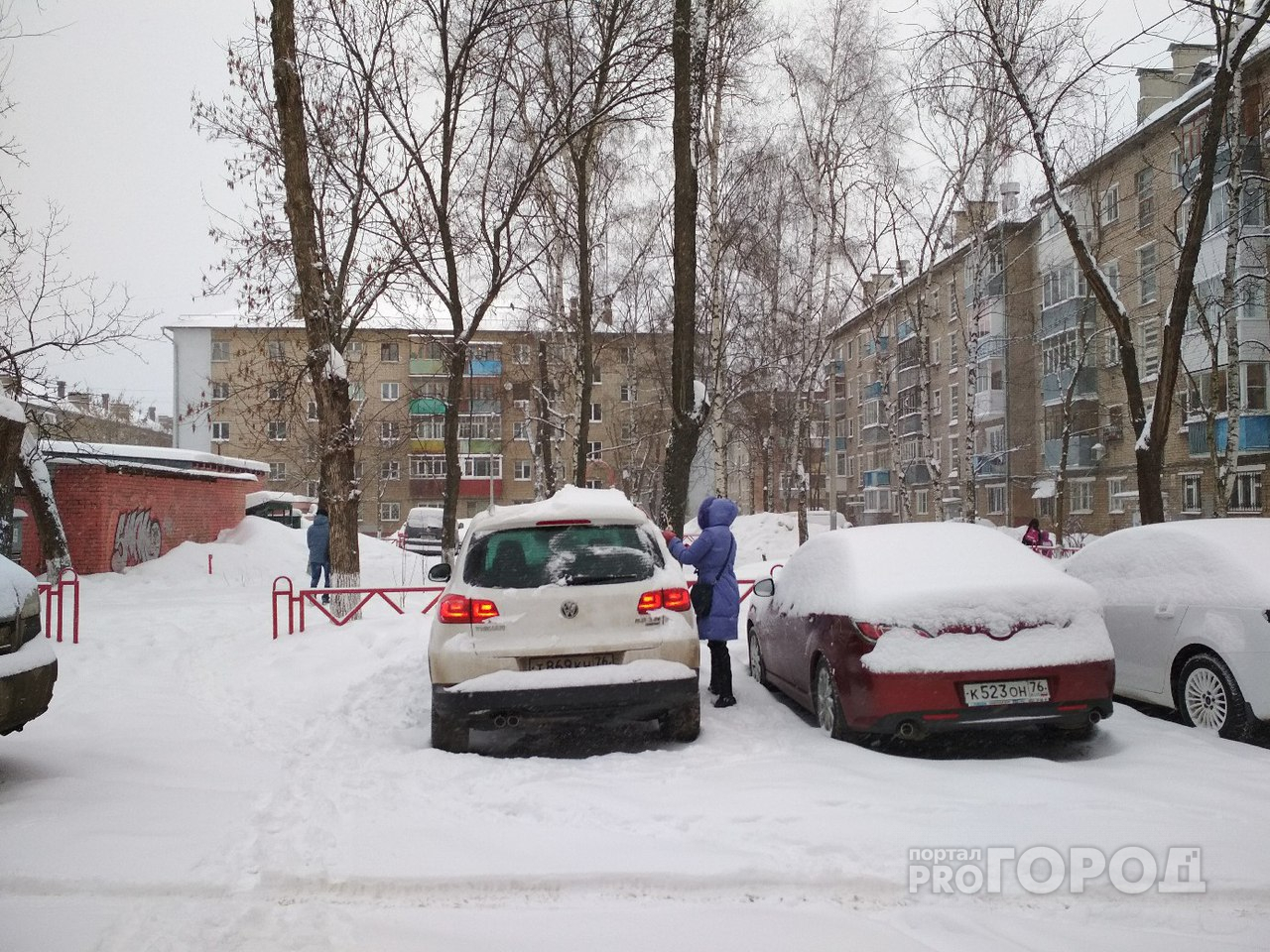 Снежное кольцо окружило Ярославль: когда ждать сугробов в центре России