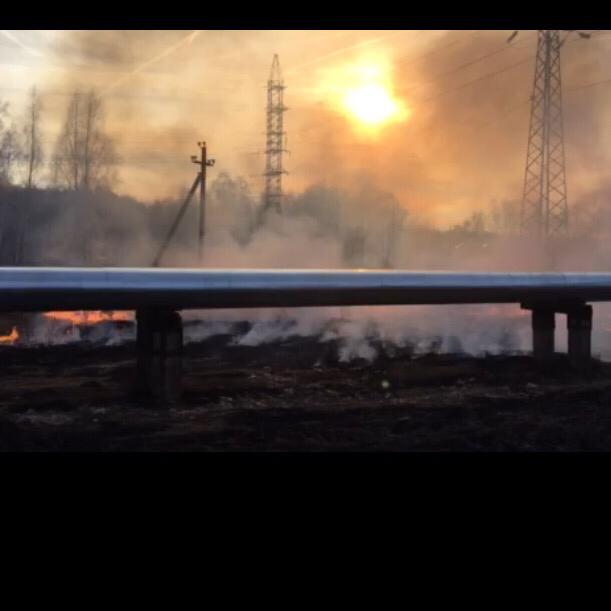 Огонь подбирался к домам: в Ярославле поймали поджигателя сухой травы