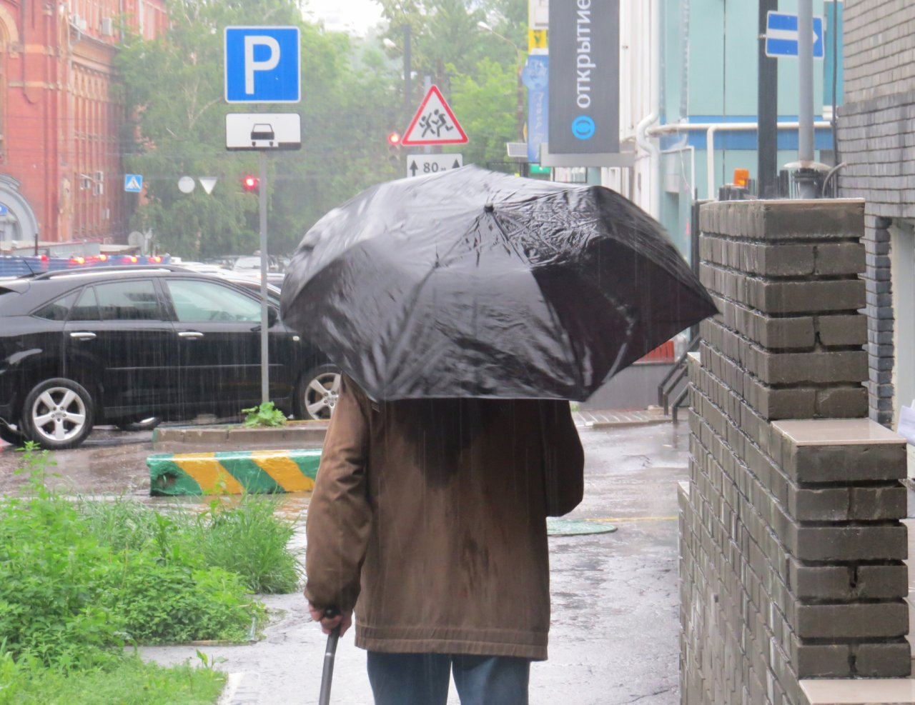 Дожди, грозы и другие неприятности: спасатели предупредили об опасности ярославцев