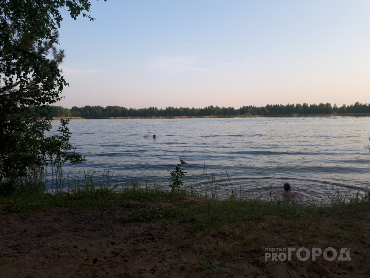 Его нашли в воде: в Ярославской области погиб молодой мужчина