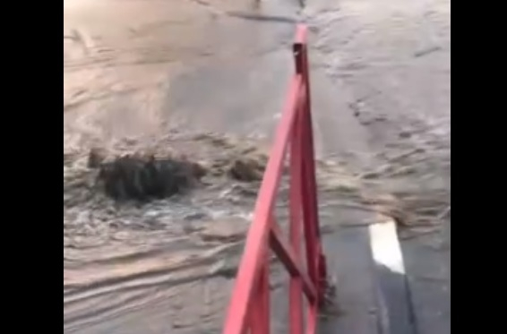«Живем, как в Техасе»: в Ярославле затопило остановку около ВУЗа. Видео