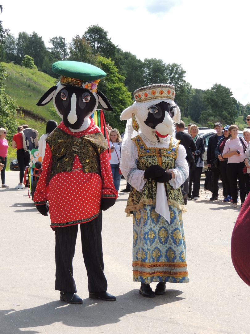 Ярмарка, выставка и мастер-класс по стрижке: фестиваль «Романовская овца» прошел в Ярославской области