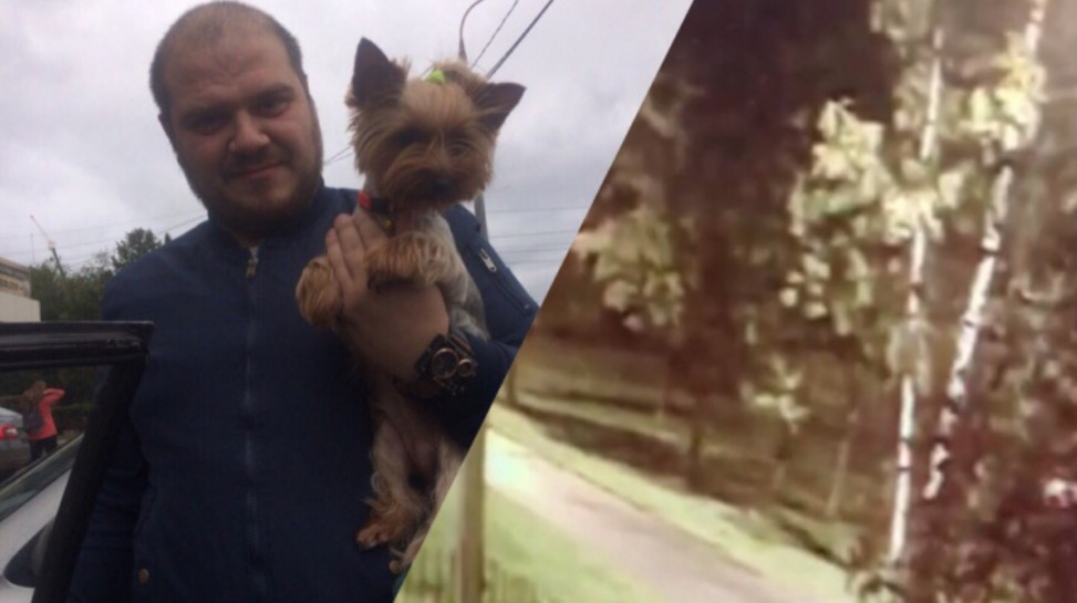 Хозяин растерзанной собаки о трагедии в Ярославле: "Дело стоит на месте"
