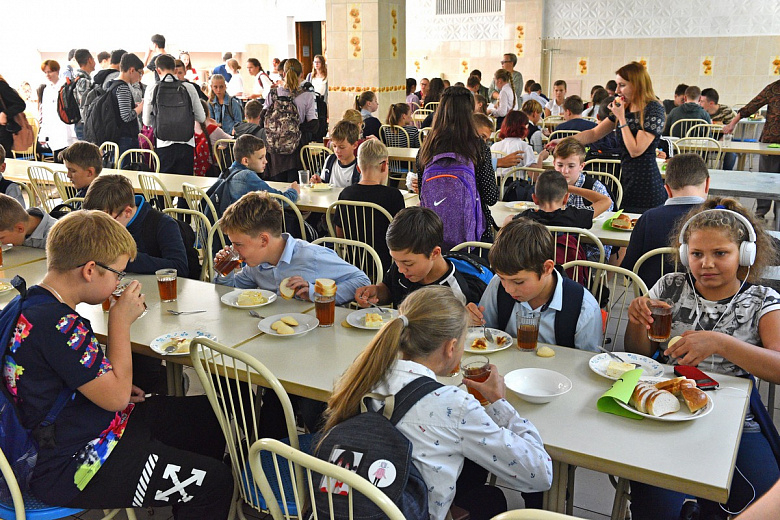 Не плесень, а зеленка: родители рассказали о проверках еды в школах Ярославля