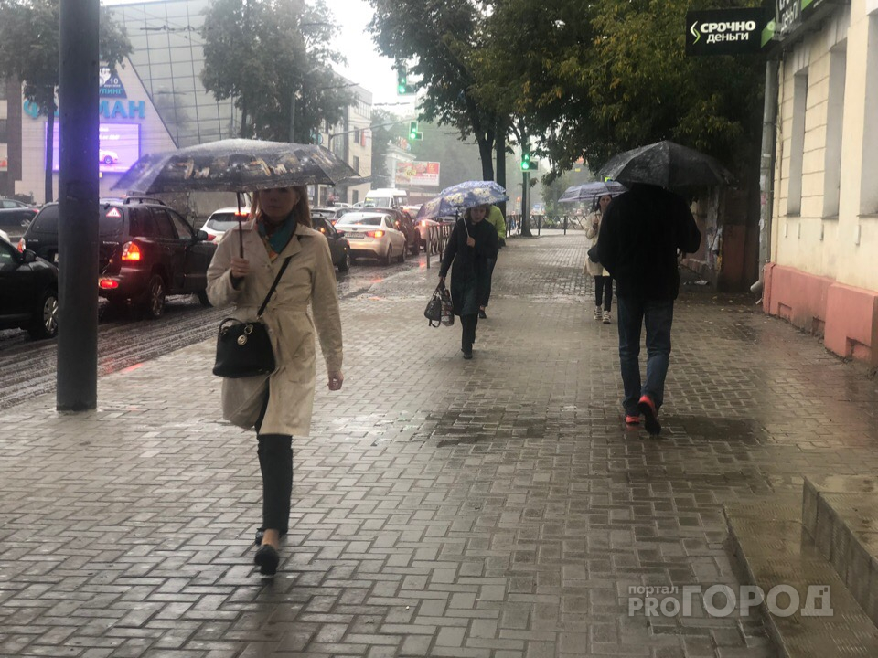 Половина нормы за день: сильные дожди обрушатся на Ярославль