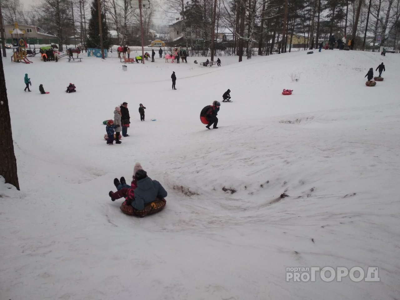 Зима в Ярославле будет аномальной: три правила, как выжить