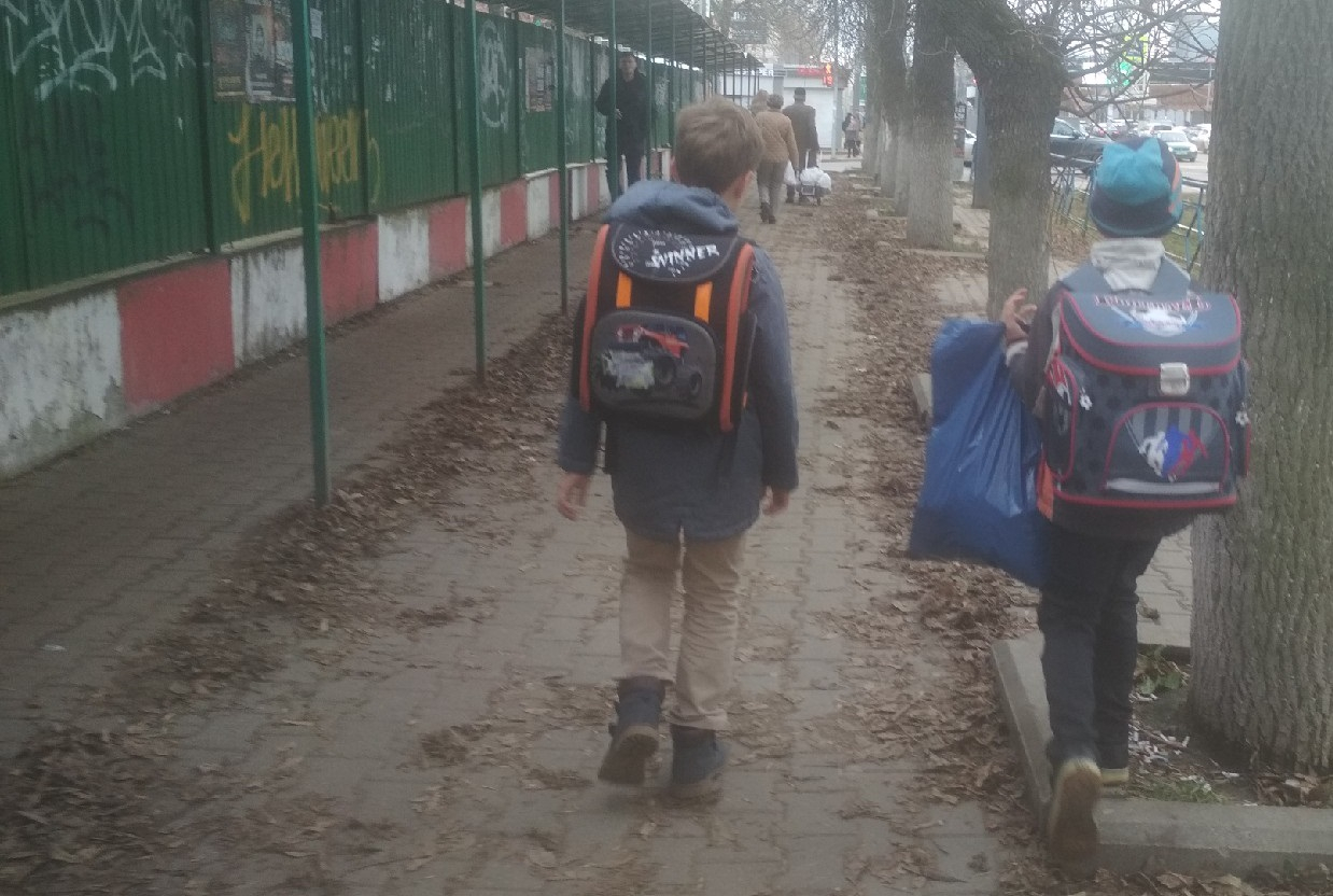 "Шел по лесу в темноте": родители бьют тревогу из-за инцидента с ярославским школьником