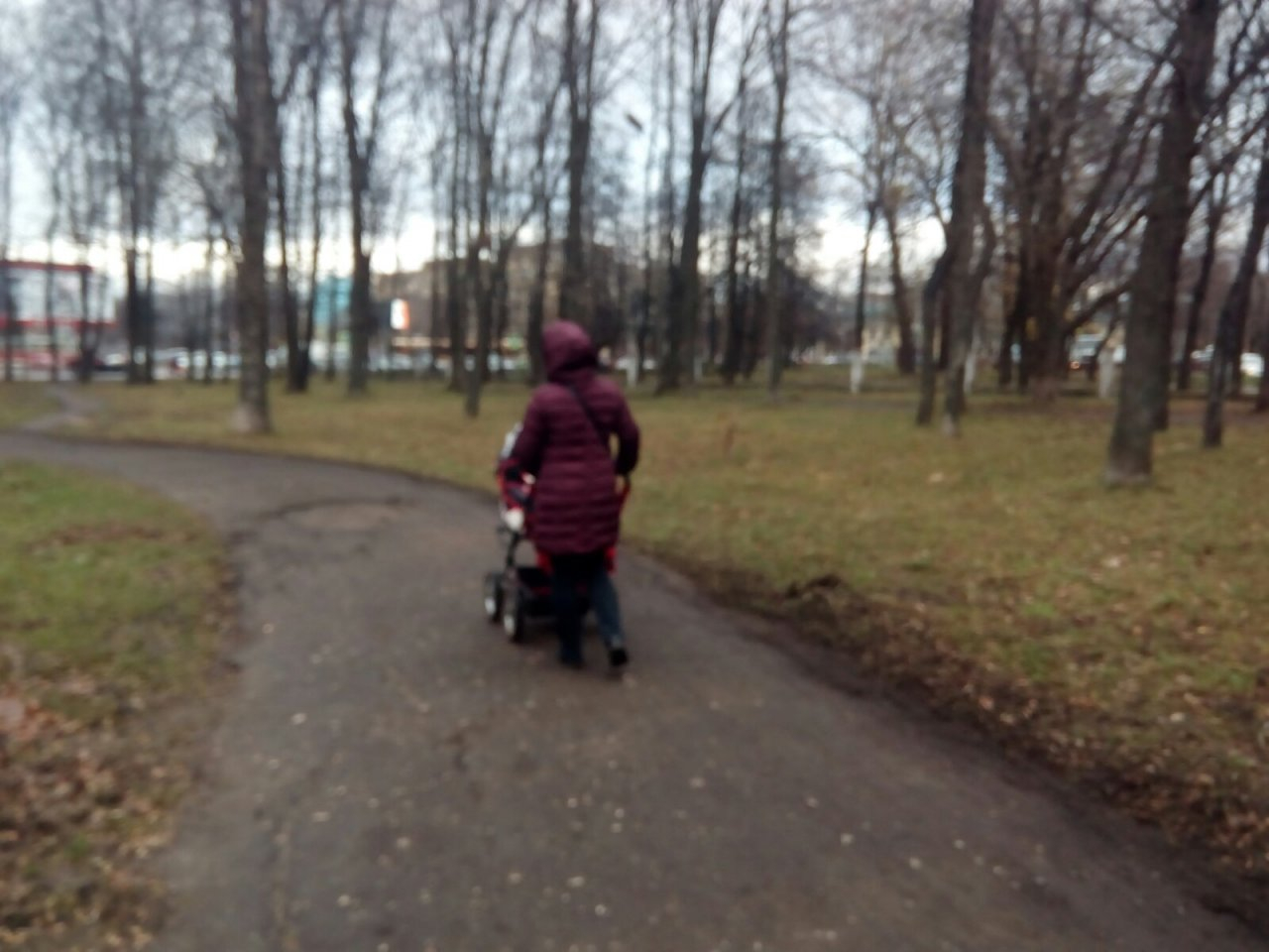 С младенцами и собаками нельзя: ярославские мамы в шоке от нового запрета