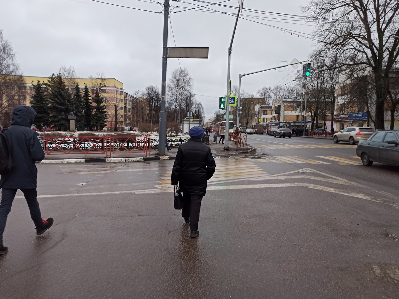 Дикий ветер взамен оттепели: синоптики пророчат резкое похолодание в Ярославле