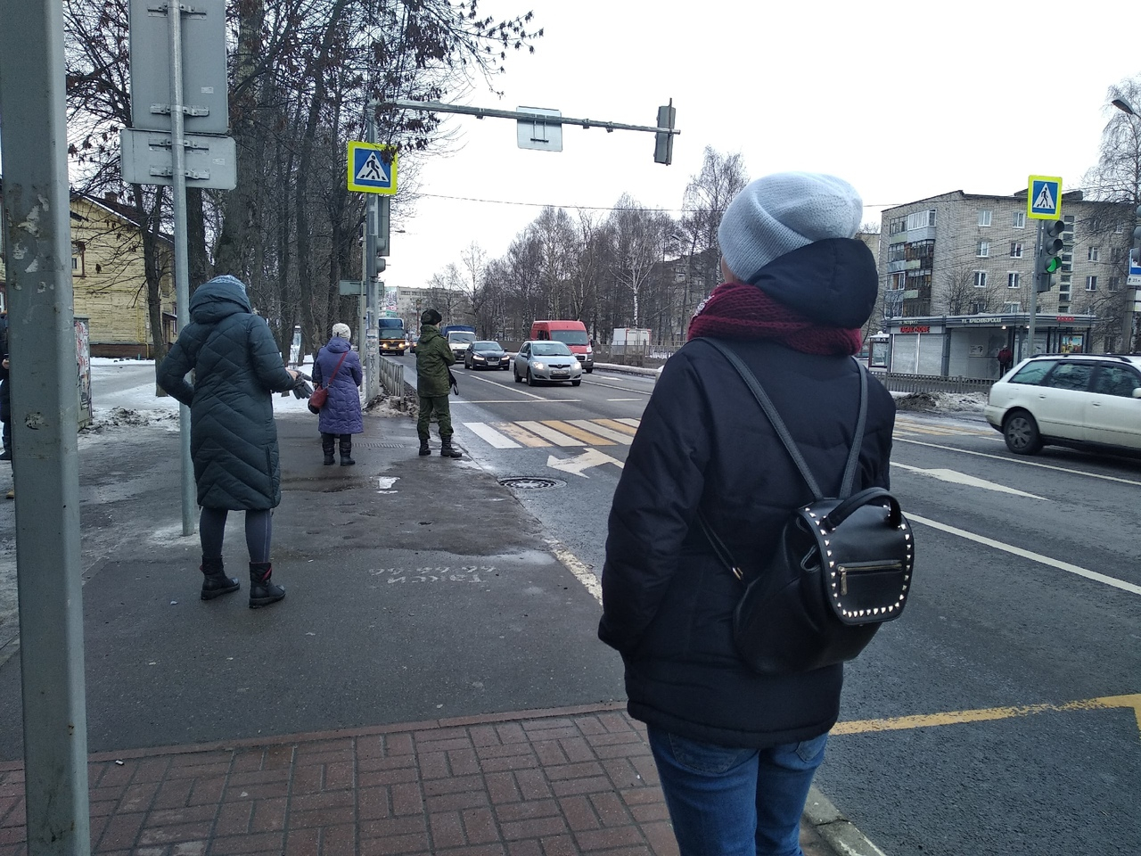 Потеряли зиму: синоптики предвещают «розовый февраль» в Ярославле