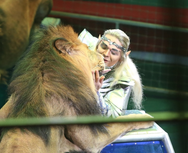 Эльф целуется со львами:  как прошла премьера уникального шоу в Ярославском цирке
