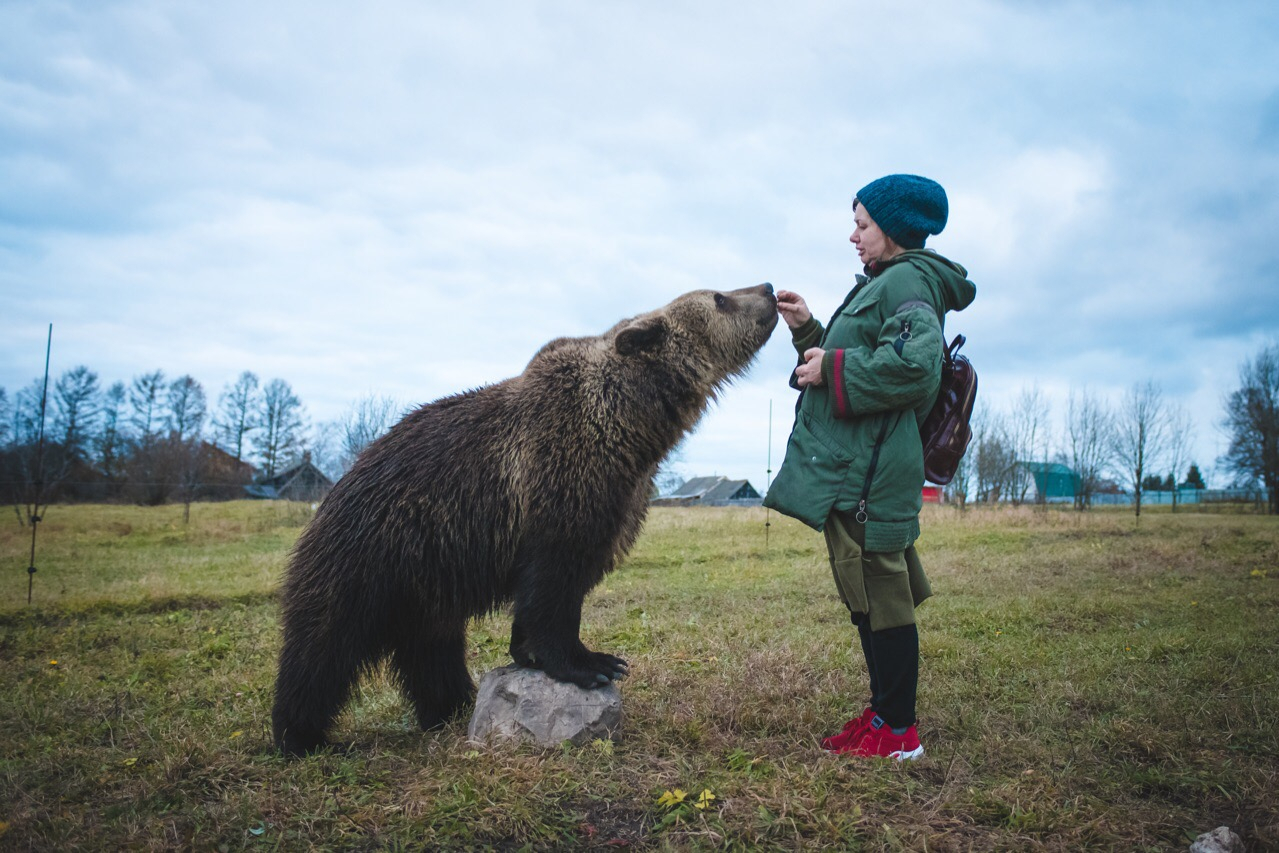 Заметили в сети: американцы выкупили личное видео ярославны с медведем