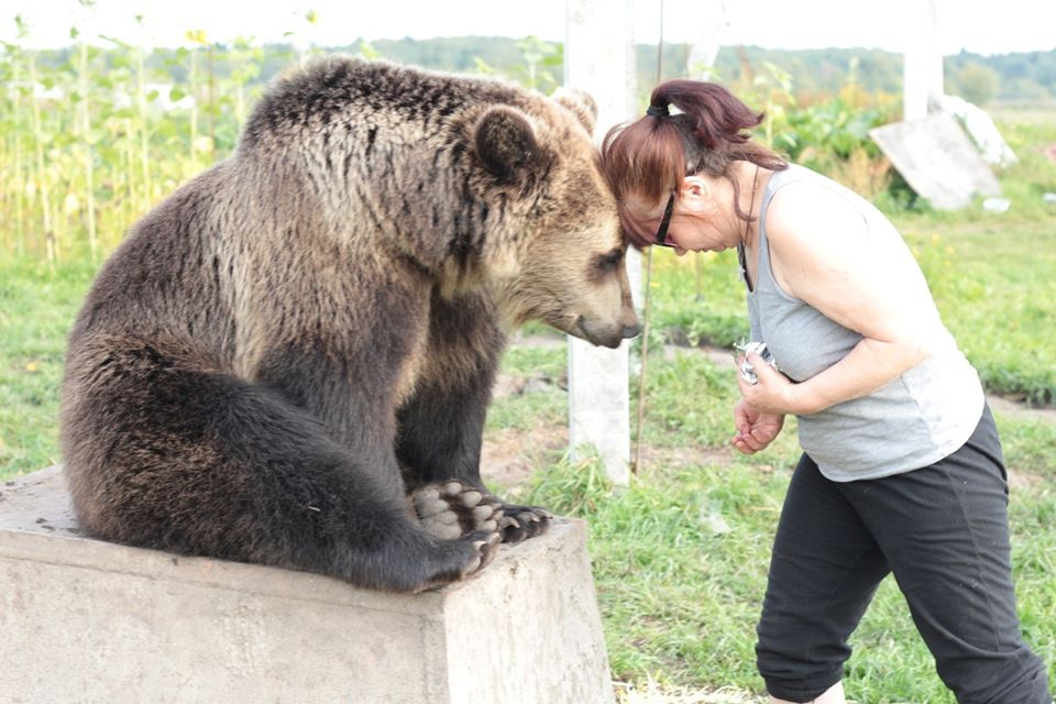 "На сто процентов вегетарианец": ярославна о тайнах жизни с медведем