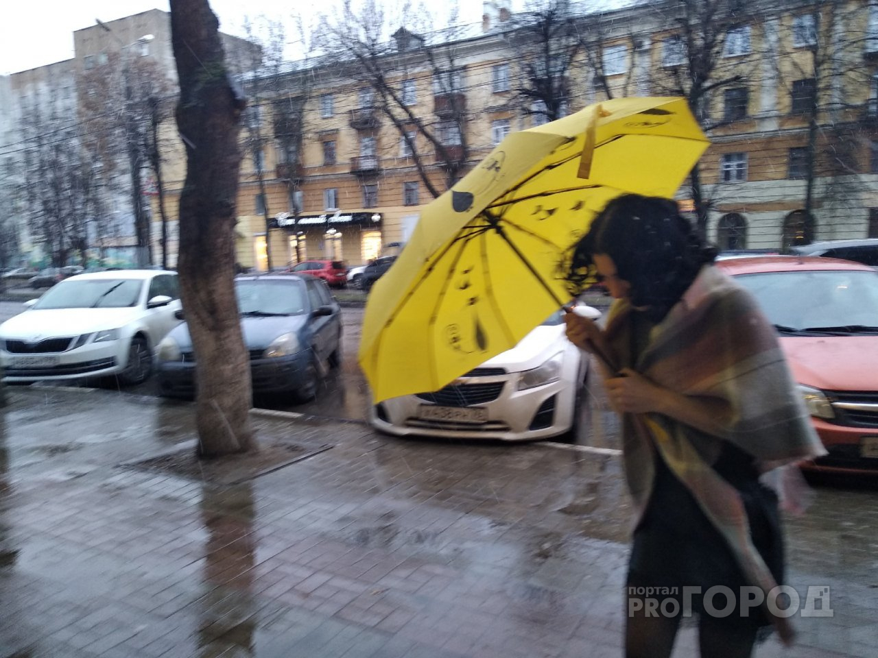 Спасайтесь дома: непогоду обещают в длинные выходные в Ярославле