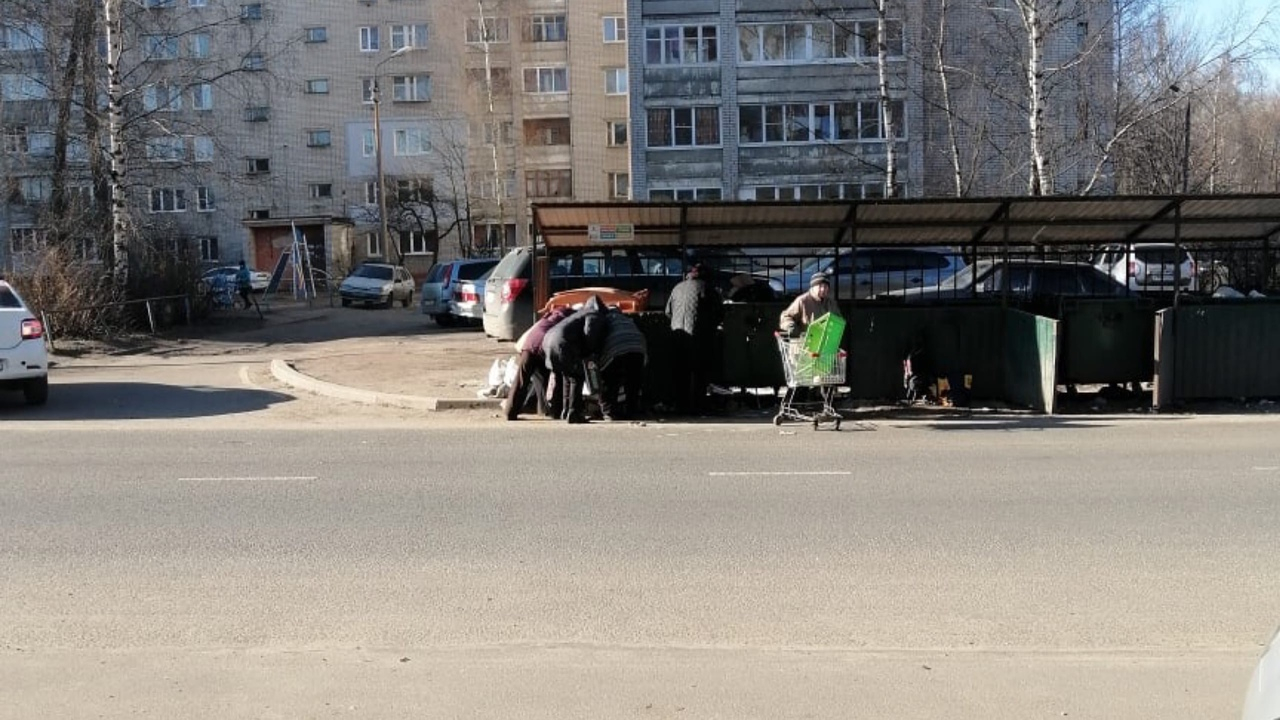 Впятером на один бак: толпы ярославцев штурмуют мусорки с просрочкой