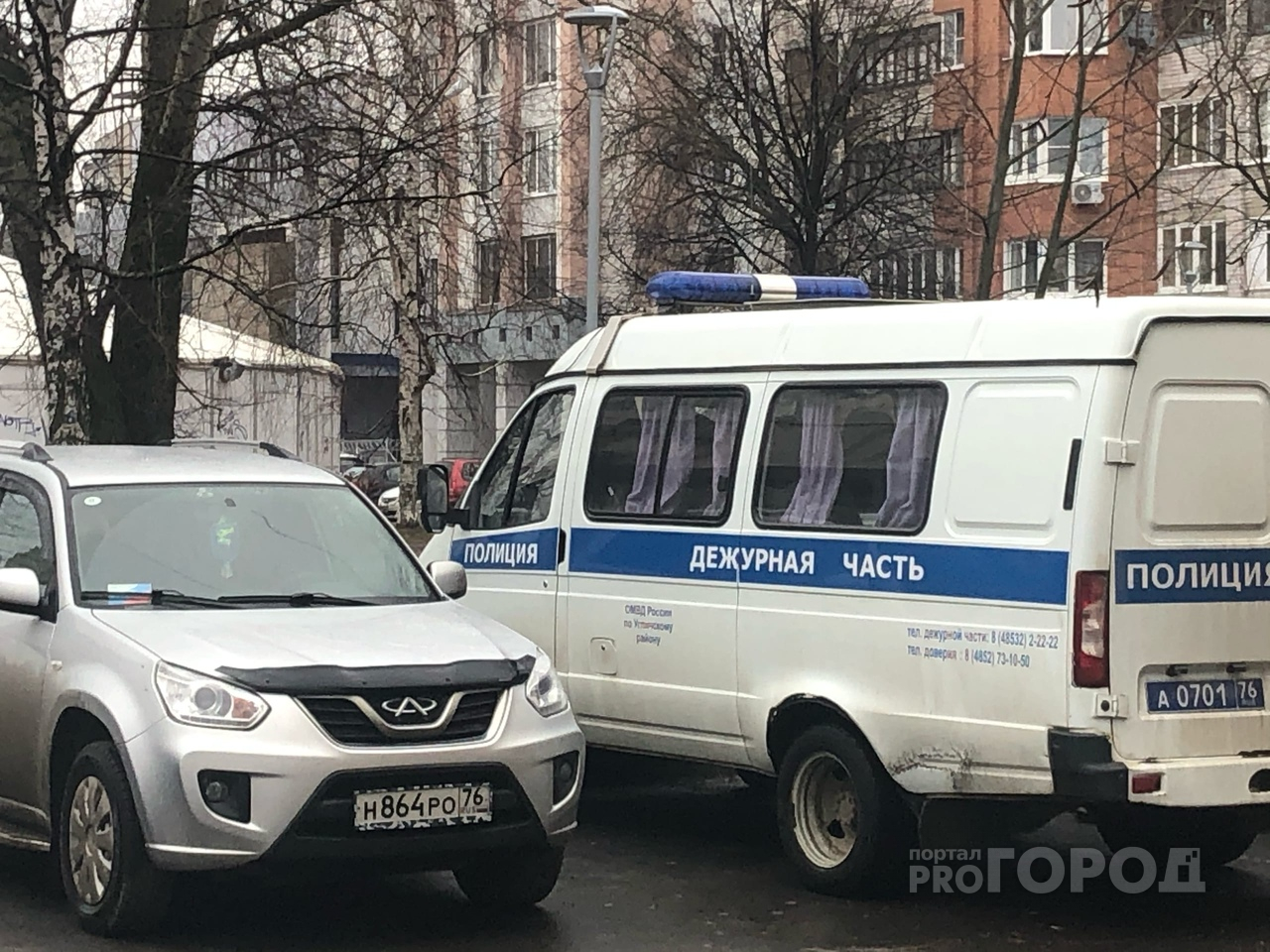 Диагноз по телефону и новые выплаты: из-за пандемии в Ярославле активизировались воры
